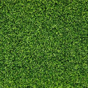 Green Grass Texture HD Wallpaper