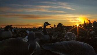 Duck Hunting Desktop Wallpaper Owatonna Minnesota Goose Hunt