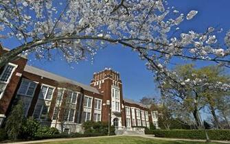 Jsu Archives The Cullman Tribune