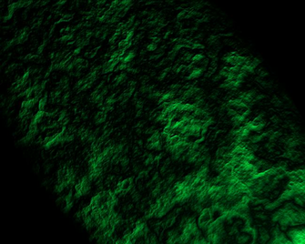 Green Stone Wallpaper By Theblubb95