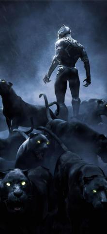 Black Panther Rise Up 4k In Resolution iPhone Wallpaper