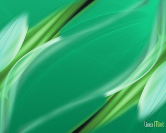 Linux Mint Forums