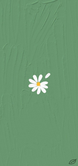 Mint Green Aesthetic White Flower Wallpaper