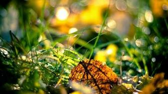 HD Wallpaper 1080p Nature Autumn Nice Pics Gallery