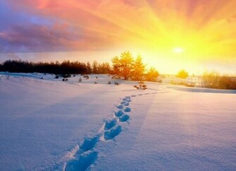 High Resolution Winter Sun Desktop Laptop Ed In Lovely