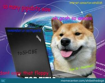 Much New Doge Meme By Shibethedoge Center