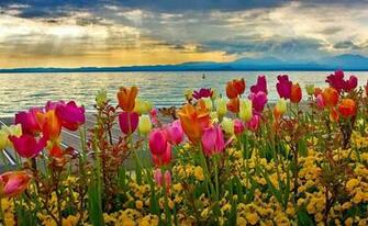 HD Spring Wallpaper For Desktop