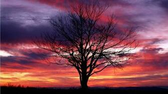 Colorful Sky Wallpaper