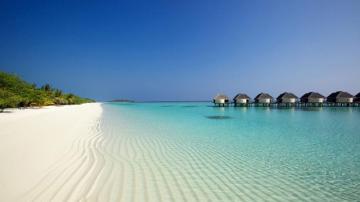 Wallpaper Beach Ocean Sand Palm Trees