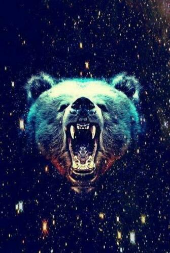 Hipster Phone Wallpaper Wall Pics Bears