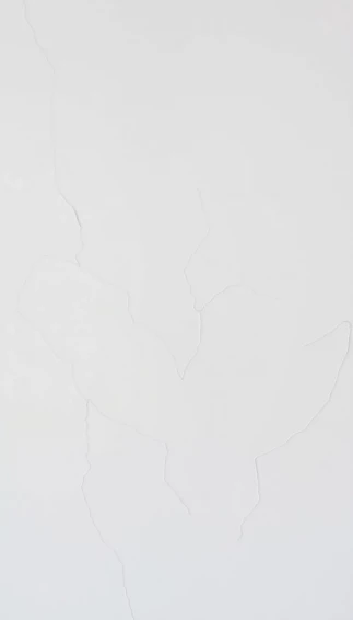 White On Wallpaper