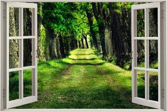 Window Beautiful Green Forest Wall Stickers Art Decal Wallpaper
