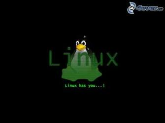 Linux Penguin Change