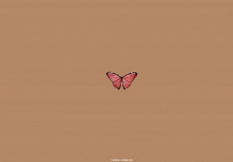 Brown Aesthetic Wallpaper For Laptop Red Butterfly