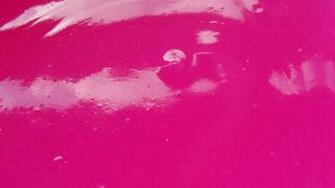 Pink Surface Bright Glossy Texture Wallpaper