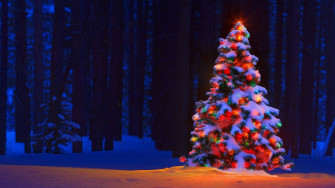 A Colorful Christmas Tree In Winter Wonderland