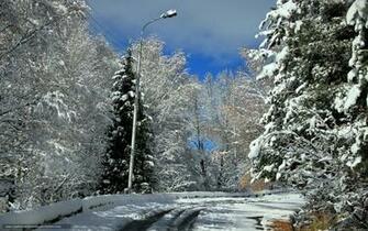 Wallpaper Winter Snow Road Gdefon Original Doroga