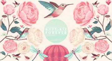 Wallpaper To All The Boys I Ve Loved Before By Jenny Han