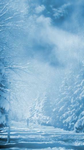 Snow Covered Woods Road Wallpaper iPhone