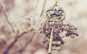 Key HD Wallpaper Background Image Id