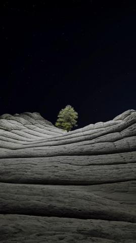 Wallpaper Ios Desert Tree Night 4k Os