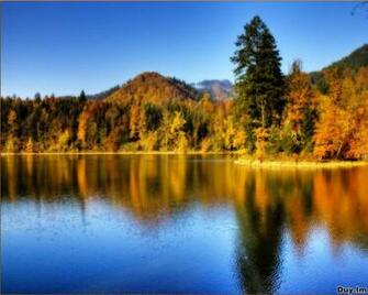Amazing Wallpaper Autumn Design