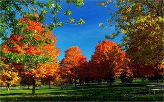 Fall Wallpaper HD Beautiful Autumn Widescreen