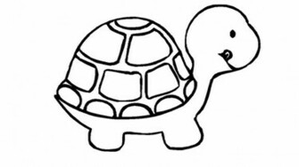 Turtle Coloring S Wallpaper Pictures