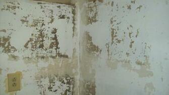 And This Layer Of Wallpaper Wont Come Off I Tried Everything But