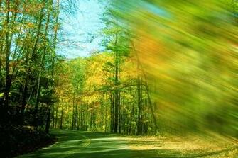 Digital Background HD Wallpaper Ezone