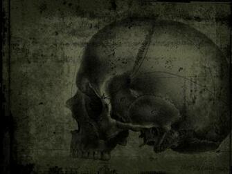 Hq Green Skull Wallpaper