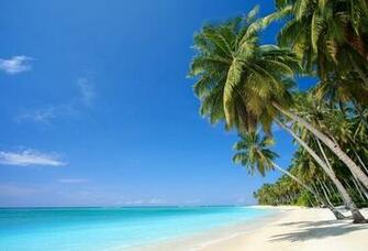 Wallpaper Caribbean Sea Palm Beach Desktop