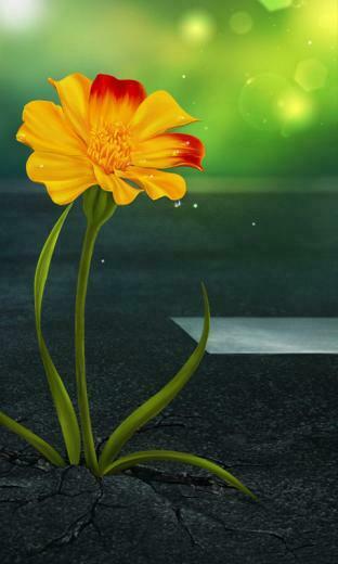 HD Wallpaper Nokia For Lumia Mobile Most Beautiful