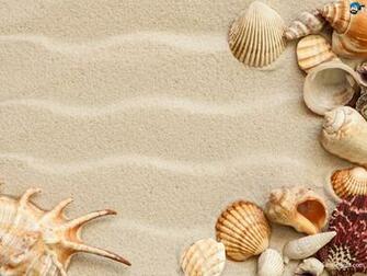 Seashells Wallpaper