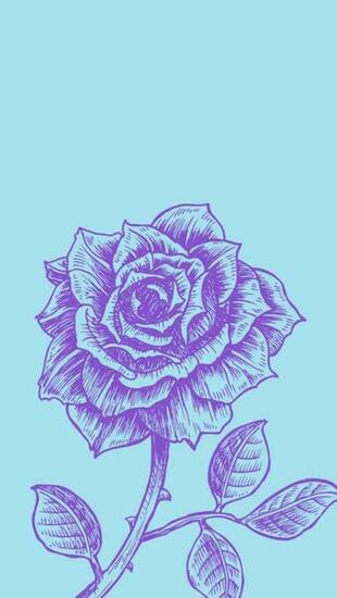 Rose Wallpaper On