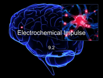 Homeostasis