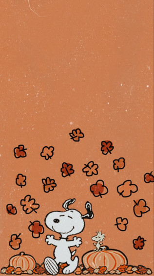 Fall Is Here Wallpaper