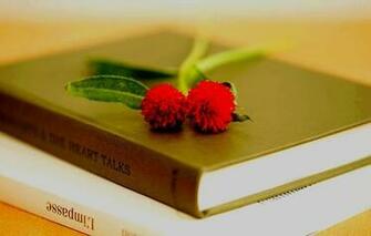 Screensavers And Wallpaper Macro Android