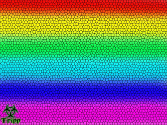 Bi Gay Lesbian Pride Wallpaper By Tripp X Foxx