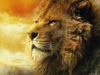Pics Photos Image Aslan Resmi Resimleri Online Hayvan