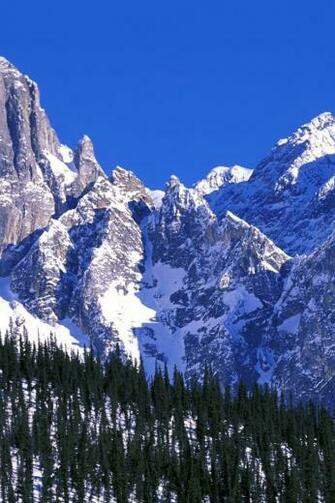 Brooks Falls Alaska Walllpaper HD Landscape Wallpaper