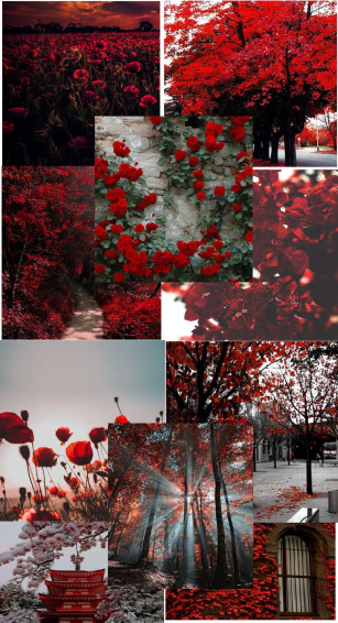 iPhone Wallpaper Themes Aesthetic Desktop