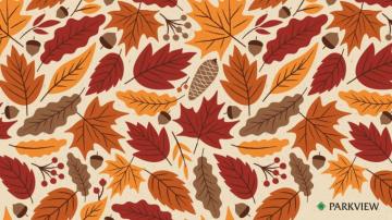 Cute Background Inspired By Fall
