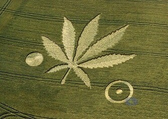 Amazing Crop Circle Jpg Phone Wallpaper By Sexy