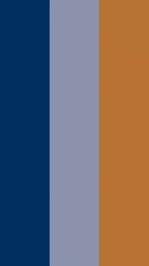 Cool Black Grey And Copper Solid Three Color Background