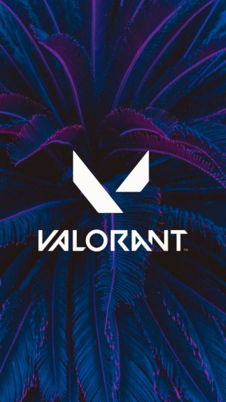 Valorant iPhone Wallpaper Top Background