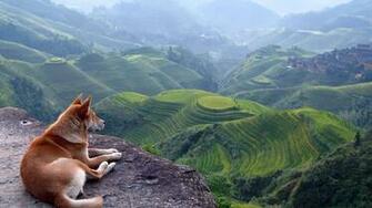 Home Nature Landscapes Wallpaper