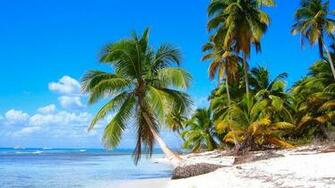 Caribbean Coconut Beach HDq Wallpaper