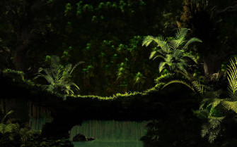 Dark Green Wallpaper