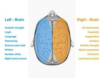 Left Brain Right Wallpaper
